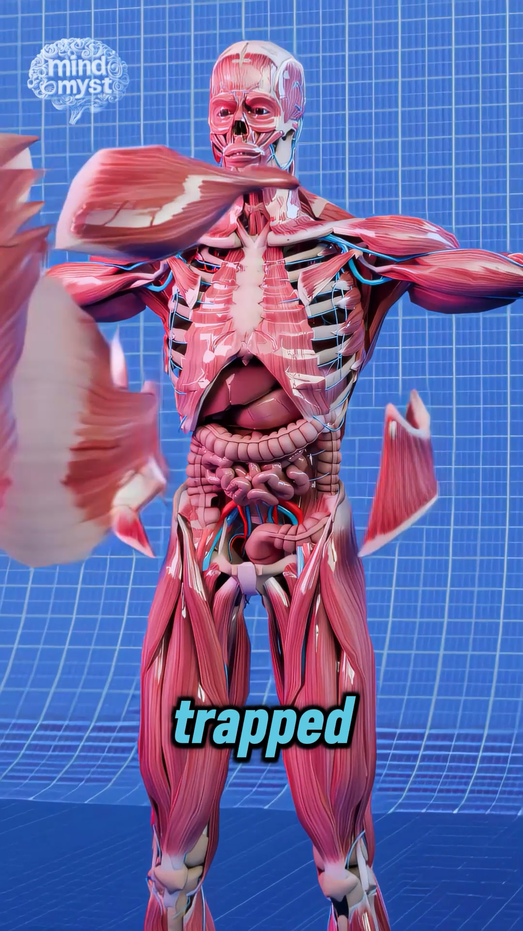 Mr. Brainboost, Realistic 3D Character Series - 4