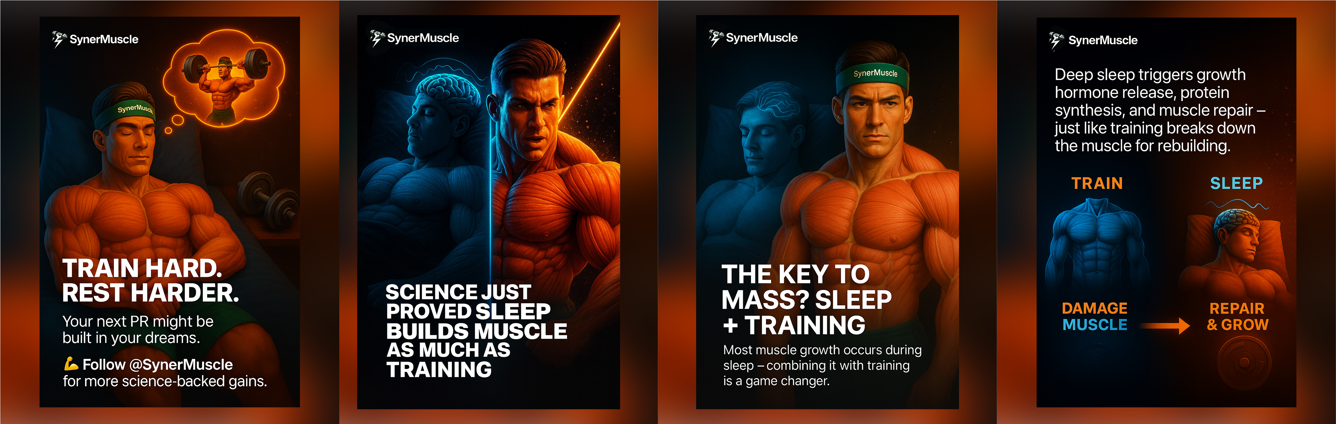 SynerMuscle 3D Identity - 5